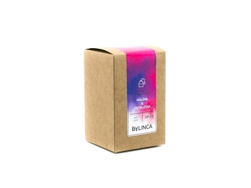 Ovocný čaj porcovaný Malina/ostružina 36g Bylinca eco obal