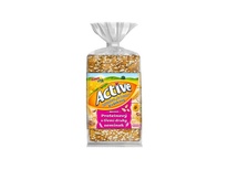 Knäckebrot "do batohu" Proteinový 100g Active BONAvita