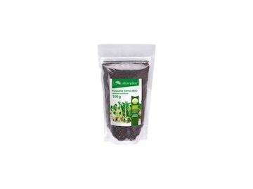 Zdravý den Semínko na klíčení Kapusty černé 100g BIO