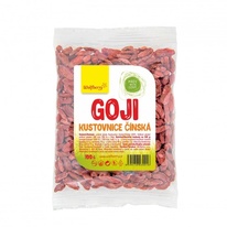 Kustovnice čínská - goji 100 g Wolfberry