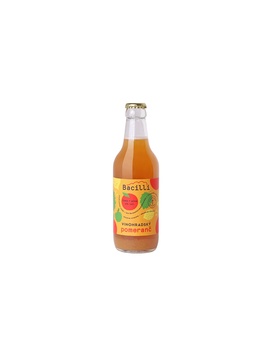 Vinohradský pomeranč 2 % alk. 330 ml Bacilli