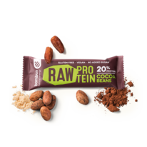 RAW_PROTEIN_cocoa_beans