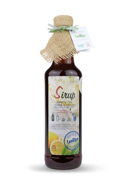 Sirup  Zelený čaj, máta a citron 0,5l Camellus
