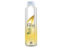 Funkční voda Protect citron&citronová tráva - Fructal 500ml