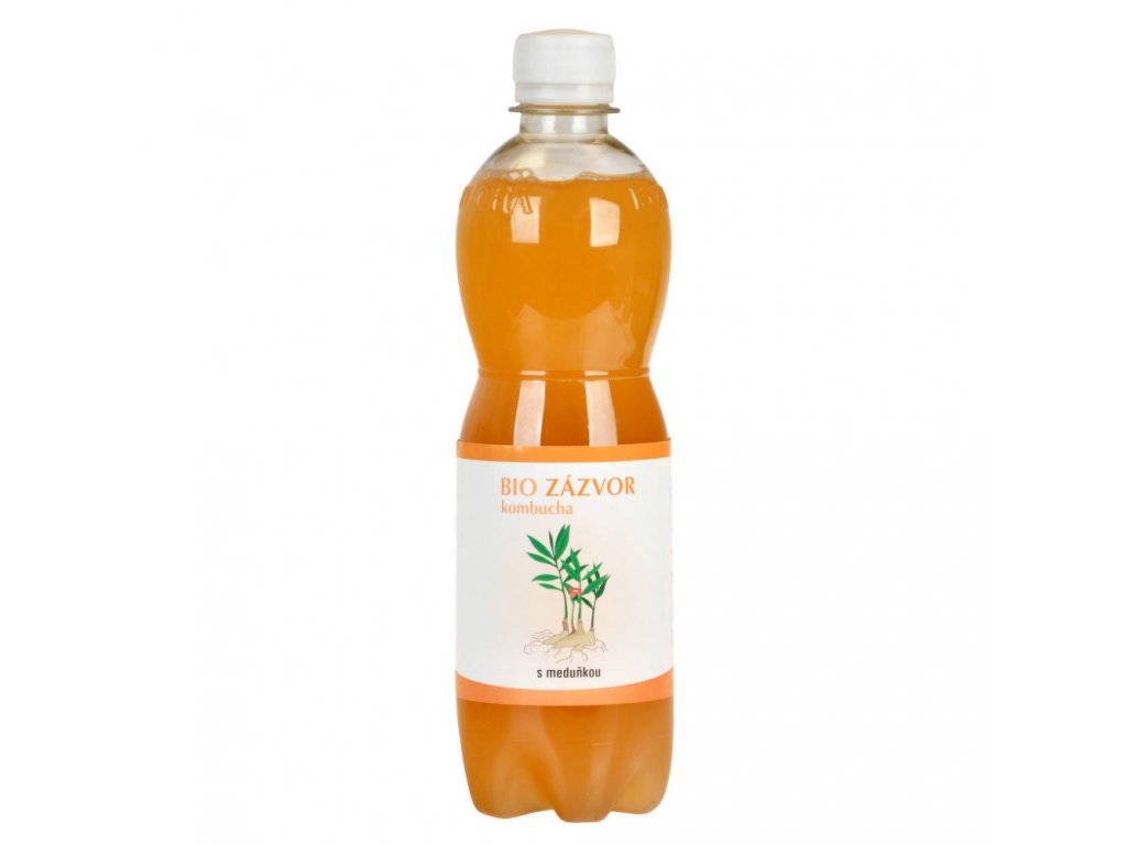 stevikomKombuchaZazvorovaMedunkouBio500ml
