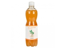 stevikomKombuchaZazvorovaMedunkouBio500ml