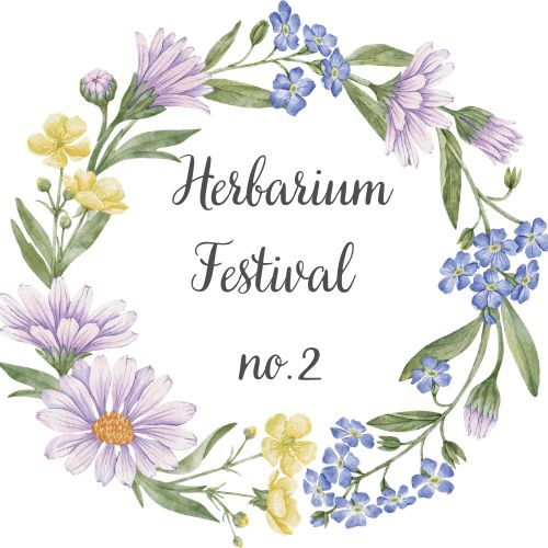 FESTIVAL HERBARIUM 